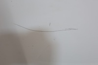 фото thumb №4, Капот opel insignia a z40r