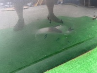 фото thumb №10, Peugeot 308 t10 iii 2021- дверь левая передние левый перед