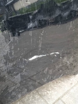 фото thumb №5, Mg 4 ev мулан капот кришка двигуна