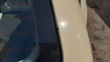фото thumb №6, Задня klapa^^ vw passat b5 fl універсал r115