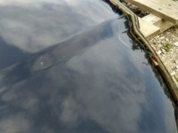 фото thumb №7, Капот крышка двигателя vw touran i 03-06 granatowa