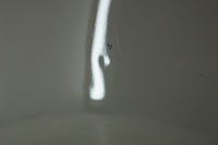 фото thumb №8, Двері лівий перед nissan juke f15 326g