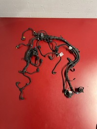 фото thumb №1, 2020 bmw x3 g01 жгут двигателя 8482359