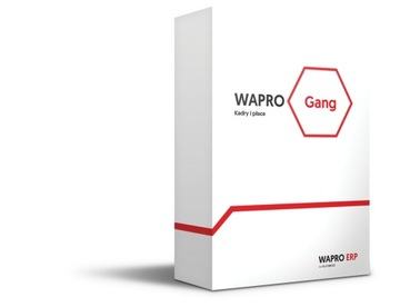 WAPRO Gang 365 PRESTIŻ 100 сотрудников, заработная плата + монтаж