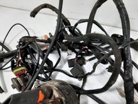 фото thumb №13, Електропроводка газова lpg zavoli alisei direct 4-cyl блок керування 67r-016032 kpl