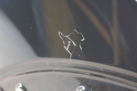 Mini cooper r56 крыло  правый  перед b2694 Киев, фото thumb