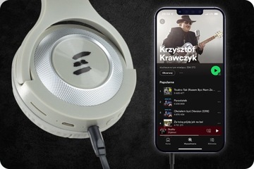 BT HEADHEADS с микрофоном, устройством чтения карт Micro SD, FM-РАДИО