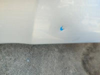 Капот skoda octavia 2 1z0 2004-2010 решётка радиатора демонтаж giełda pń с Разборки, фото thumb