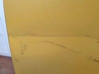 фото thumb №8, Renault talisman 2015-2022 дверь задняя задние левая kombi eu полный