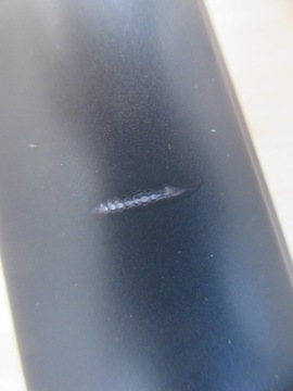 фото thumb №8, Audi q3 рейлінги дахові 8u0860022 8u0860021 чорні