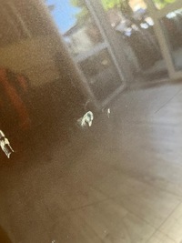 фото thumb №6, Expert jumpy proace iii 16- двері ліва передні перед