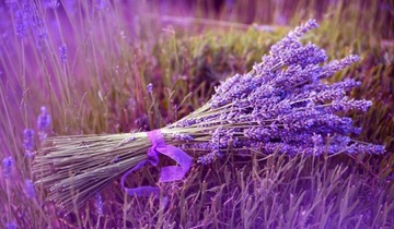 Подарочный набор - АРОМАТИЧЕСКИЙ ДИФФУЗОР - свеча - спрей - LAVENDER HARVEST