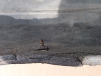 фото thumb №8, Бампер перед lz9w audi a3 8p 2.0 tdi 8p3807437