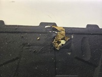 фото thumb №6, Шумоизоляция капот audi a5 8t 8t0863825