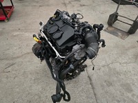 фото thumb №7, Двигатель bls 1.9tdi 105km skoda octavia vw golf v audi a3 138tys kompletny