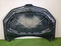 фото thumb №9, Skoda octavia 5e 5e0 iii 3 капот кришка двигуна