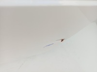 фото thumb №11, Hyundai staria 2021- двері ліва передні перед лівий ÷