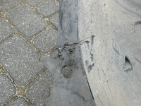 фото thumb №6, Подкрылок передние левая peugeot 5008