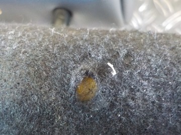 фото thumb №6, Jumpy expert proace iii 18- сидіння пасажира диван