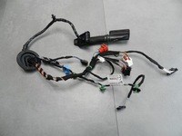 фото thumb №1, Vw arteon джгут двері права задня 3g8971694t