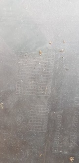 фото thumb №12, Renault clio iv бампер передній решітка радіатора 620221112r