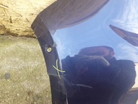 фото thumb №9, Vw golf 7 vii бампер задний