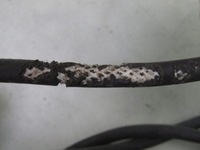 фото thumb №7, 306 1.4 b 98r катушка зажигания с шланги