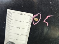 фото thumb №7, Капот передняя opel zafira a z298