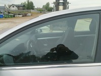 фото thumb №1, Скло бокова двері лівий перед opel vectra c t hb gts 4