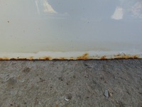 фото thumb №7, Дверь левая перед partner berlingo iii белый ewpa