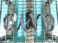 фото thumb №1, Пружина задня infiniti fx ii qx 70