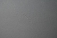 фото thumb №8, Maserati levante задняя сиденье корпус защита