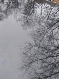 фото thumb №5, Smart fortwo iii 453 дах сонячний панорама 2014-