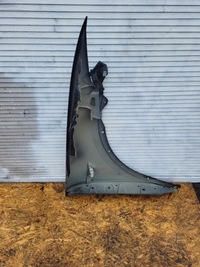 фото thumb №12, Крила передній перед лівий tesla x