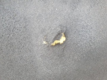 фото thumb №9, Land rover evoque i l538 капот перед передня