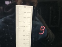 фото thumb №11, Двері перед ліва honda civic vii 3d