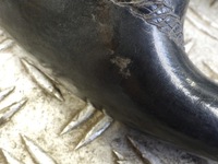 фото thumb №8, Кермо шкіра mercedes clk w208