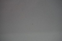 фото thumb №7, Hyundai i40 kombi двері правий задня задні n3s