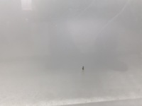 фото thumb №8, Дверь левый перед nissan almera tino qg18