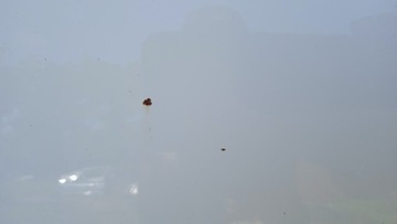 фото thumb №12, Mini cooper r56 дверь перед правые 850/0 3d