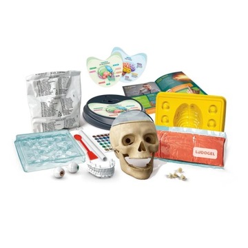 CRAZY ANATOMY Scientific Fun Клементони 50697 ЛАБОРАТОРИЯ