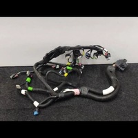 фото thumb №1, Жгут двигателя tesla p2068767 2024