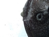 фото thumb №7, Audi q5 sq5 2010 левая сторона ступица колеса заднего