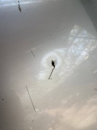 Купить Крышка передняя капот двигателя seat ibiza 2 6k рестайлинг  wwa, фото thumb