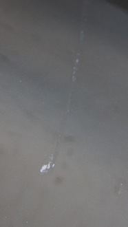 фото thumb №9, Двері правий перед renault megane iii coupe