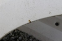 Крыло левый перед citroen jumpy 3 peugeot expert 3 ewpa с Разборки, фото thumb