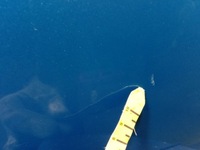 фото thumb №8, Hyundai i30 ii gd hb 5d дверь зад правые aqua синий [t2u]