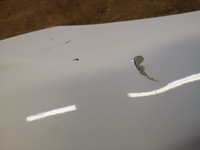 фото thumb №11, Ford ranger iv lift крила правий перед