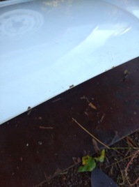 фото thumb №9, Капот mercedes vito