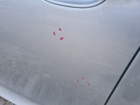 фото thumb №4, Дверь левая передние bmw e60 titansilber